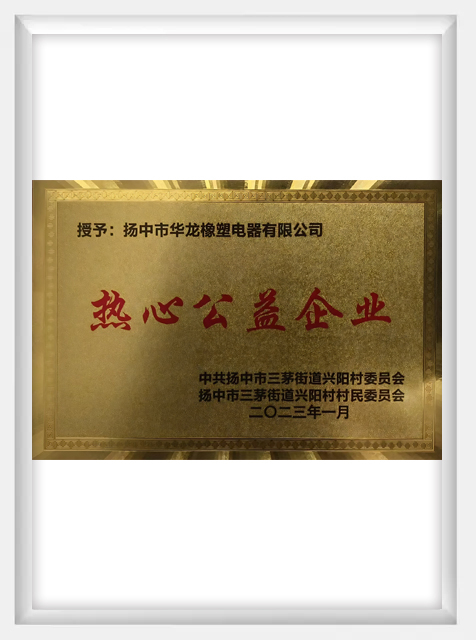 熱心公益企業(yè)