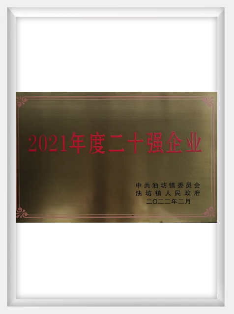 2021年度二十強企業(yè)-1